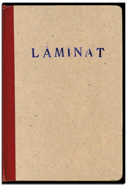 laminat_front_1